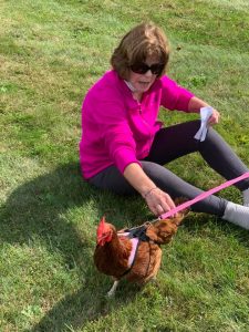 Blessing animals Blessing animals