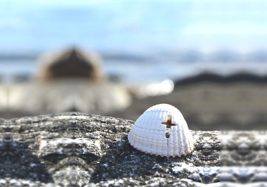 shell-cross